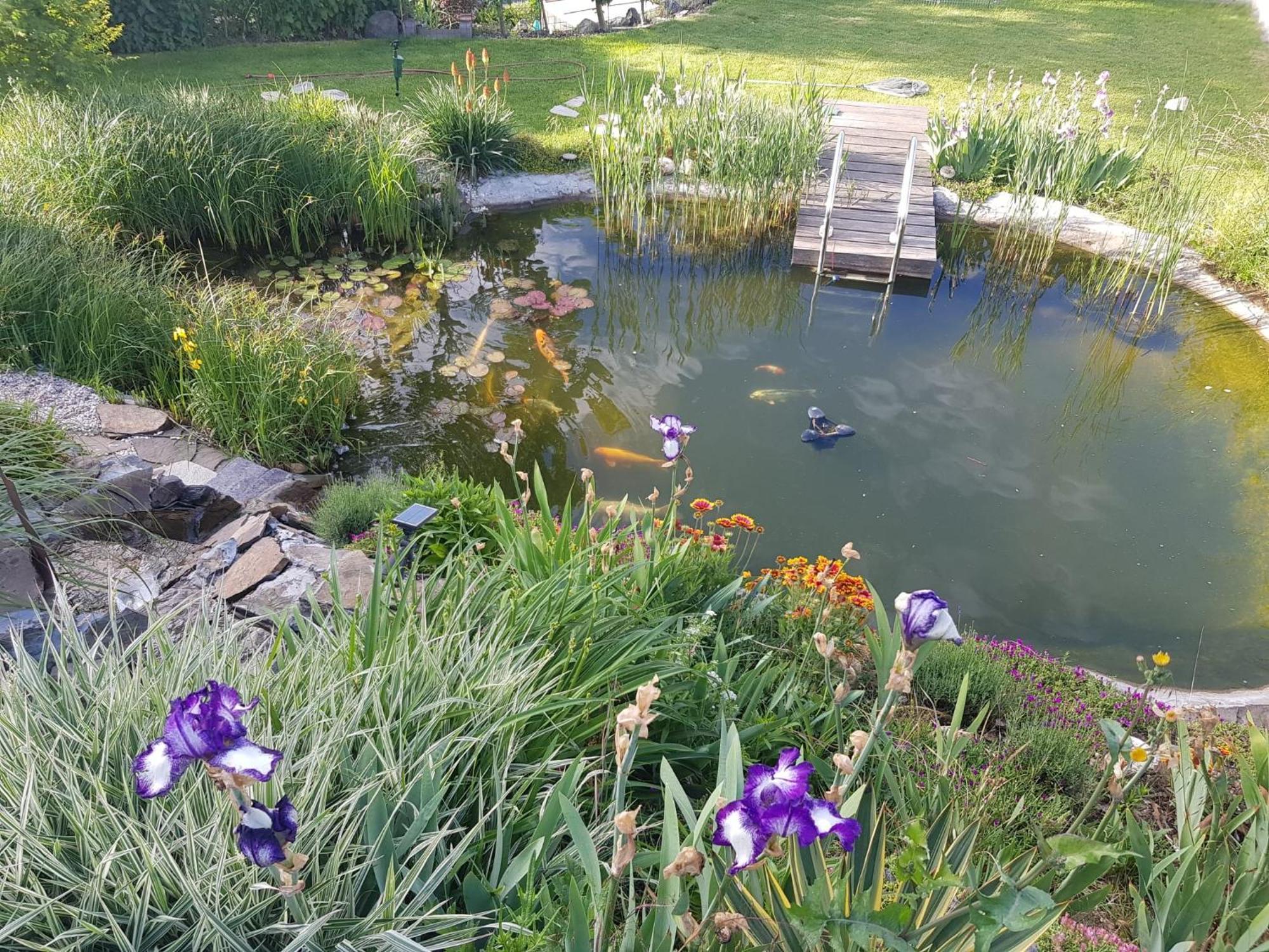 Wohlfuehlen Am Gartenteich Oberzissen 外观 照片